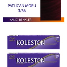 Alkasaz 2 Adet Single Tüp Boya Saç Boyası Patlıcan Moru 3/66