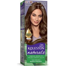 Alkasaz Naturals Saç Boyası Büyüleyici Kahve 6/1