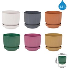 Alkasaz 3no Saksı 3.3lt 1 Adet ROYALEKS-S282