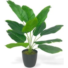 Nettenevime Yapay Çiçek Saksıda Yeşil Muz Yapraklı 12DAL 50CM Salon Çiçeği Yapay Bitki