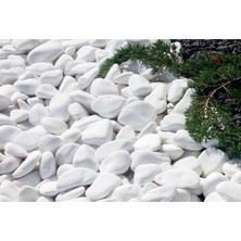 Ekodoğa Beyaz Dolomit Taş 1 kg 2,5-4 Cmbahçe Süs Taşı Dekoratif Taş