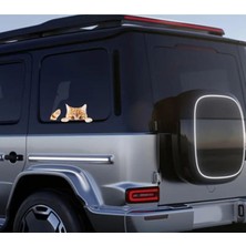 Arabadan Dışarı Bakan Sarman Kedi Stickerı