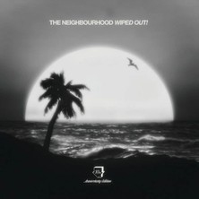 Plak İstasyonu The Neighbourhood Wiped Out! (10TH Anniversary Edition) Double Lp Plak