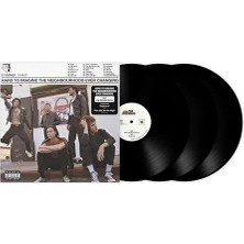 Plak İstasyonu The Neighbourhood Hard To Imagine The Neighbourhood Ever Changing (3 Plak) Lp Plak