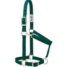 Weaver Leather Temel Ayarlanabilir Naylon Yular, Avcı Yeşili, 2,54 cm Ortalama At