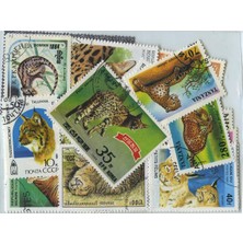 Pulko History 1970 Büyük & Vahşi Kediler Animals Big & Wild Cats 25 Çeşit Damgalı Pul Koleksiyonu