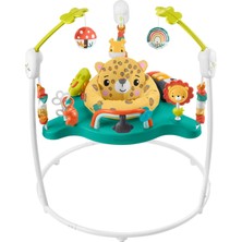 Fisher-Price Sevimli Leopar Jumperoo, 6-18 Aylık, HND47