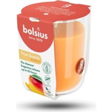 Mango Kokulu Bardakta Mum - Vegan &amp; Doğal &amp; Saf Koku Özlü -Palmiye Yağı Içermez - 25