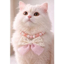 Hayal Patishop Incili Kedi Kolyesi Fiyonklu Şık Kedi Boyun Tasması
