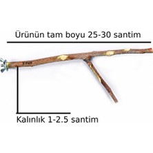 X-Perk Doğal Ağaç Çatallı Kuş Tüneği  Papağan Tünek Kafes Için Doğal Ahşap Dal Tünek Boy 25-30 cm