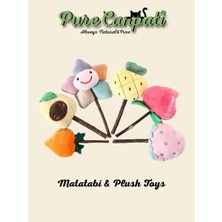 Purecanpati Matatabi ve Catnip Peluş Kedi Oyuncağı, Doğal Çubuk, Diş Kaşıma, Stres Azaltıc�