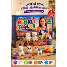 Oyun Kafası Renkli Taşlar Figürlü Taş Boyama Seti Kutulu 3 Farklı Model 6 Renk Boya