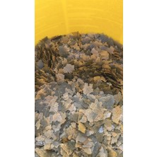 Sera San Nature 50 gr Brüt Açık