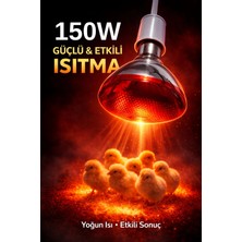 tp Buğz 150W Isıtıcı Ampul Kırmızı Isı Lambası Civciv Kümes Kuluçka E27 Duy Isıtma Ampulü