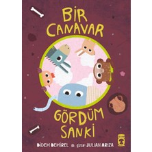 Hatıra Kutusu Bir Canavar Gördüm Sanki