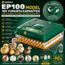 Sora Home EP100 Kuluçka Makinesi Yeni Nesil Suluk Üstten Havalandırma Sistemli Tavuk Kaz Hindi ve Kuş Türleri Için