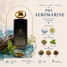 Pierre Louisse AEROMARİNE PM-5 100 ML