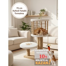 Empressco 75 cm Kedi Evi ve Tırmalama Tahtası, Modern Tasarım, Konfor ve Eğlence