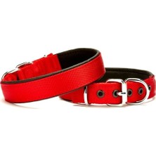 AvantajAl Doggie Softlu Köpek Boyun Tasması 2 cm x 40 cm Kırmızı