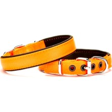 AvantajAl Doggie Dokuma Softlu Köpek Boyun Tasması 2 cm x 45 cm Turuncu