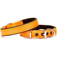 AvantajAl Doggie Softlu Dokuma Köpek Tasması 2,5 cm x 50 cm Turuncu