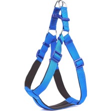 AvantajAl Doggie Comfort Ronin Köpek Bel Tasması 3cm-75 x 85 cm 3x-Large Mavi
