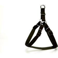 AvantajAl Doggie Comfort Ronin Köpek Bel Tasması 70CM Large Siyah