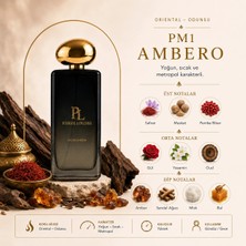 Pierre Louisse AMBERO PM1 100 ML