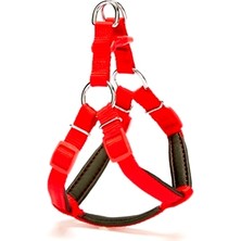 AvantajAl Doggie Comfort Ronin Köpek Göğüs Tasması 35CM Xsmall