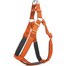 AvantajAl Doggie Comfort Ronin Köpek Göğüs Tasması 35CM Xsmall