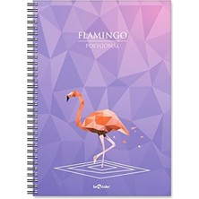 2018044/1 Polygonal Esnek Karton Kapak, Siyah Spiralli Renkli Kenar Boyama Çizgili Flamingo