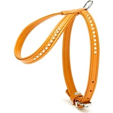 AvantajAl Doggie Flotter Swarovski Taşlı Deri Köpek Göğüs Tasması 1,2 x 25-35 cm Kamel