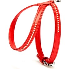 AvantajAl Doggie Flotter Swarovski Taşlı Deri Köpek Göğüs Tasması 1,2 x 25-35 cm Kırmızı