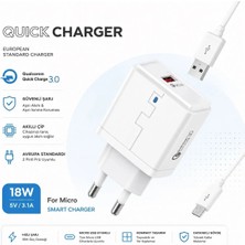 Tastech M-09 Smart Charger 18W 5V 3.1A Qualcomm Quick Charge 3.0 Şarj Aleti USB Girişli Adaptör Mikro USB Şarj Kablosu