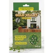 Gold Valley Süs Yoncası Tohumu (Ak Üçgül)