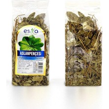 Kuzgun Ticaret Poşet Aslan Pençesi 30 Gr.