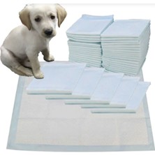 Empressco Yumuşak ve Güvenli Kedi Köpek Çiş Pedi 60X90 cm 4'lü Paket