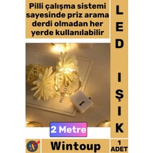 Wintoup #led Dekoratif Aydınlatma Taşınabilir Enerji Tasarruflu Şık Süsleme 2 Metre Pilli Peri LED Gün Işığı