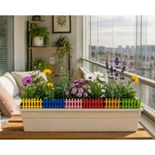 Arlia Design Ahşap Saksı Süsü Seti Renkli Çit, Mantar, Çim ve Bitki Dekoru 42 Parça 3 mm Mdf