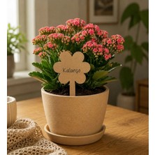 Arlia Design Kişiye Özel Ahşap Bitki Etiketi 10'lu Set / Papatya Şekilli 3 mm Ham Mdf Saksı Mini Bahçe Etiketi