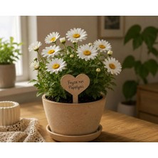 Arlia Design Kişiye Özel Ahşap Bitki Etiketi 10'lu Set / Kalp Şekilli 3 mm Ham Mdf Saksı Mini Bahçe Etiketi