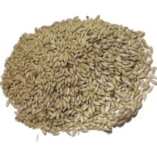 Vivid Aspur 1kg. Açık