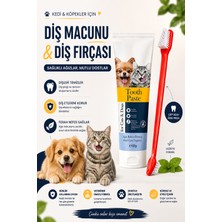 Lion Paw Kedi ve Köpek Diş Macunu 100 gr Çift Taraflı Diş Fırçası Hediyeli Ağız Bakım Seti