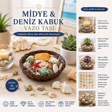 Go İthalat Yuvarlak Ahşap Sepet Renkli Mix Midye - Deniz Kabuk Vazo Taşı (5582)