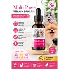 Lion Paw Kedi ve Köpek Vitamin Damlası 50 ml - A, B7 ve B12 Vitaminli Tüy ve Bağışıklık Destekleyici Takviye