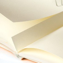 LEUCHTTURM1917 355531 Jottbook Medium (A5), 60 Numaralı Sayfa, Boş, Altın, Ikili Pakette