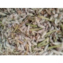 100 gr – Kurutulmuş Mis Kokulu Lavanta Çiçeği, Organik, Poşet Ambalaj –uyku ve Rahatlama"