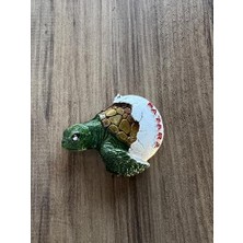 Hype Store Para Temalı Dekoratif Cam Buzdolabı Magneti, El Yapımı, Yeşil ve Mavi Renkli, Vintage Tarzı