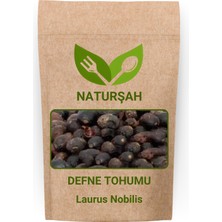 Naturşah Defne Tohumu 50 gr / Laurus Nobilis