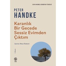 Ne Lazım Bana Karanlık Bir Gecede Sessiz Evimden Çıktım